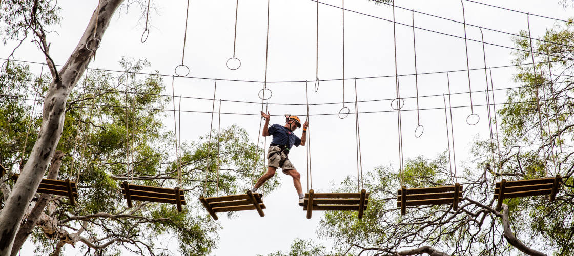 Tree Climb Adelaide Jan 19