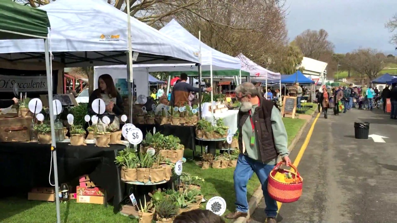 Adelaide Hills Farmers Market & Cooking at Tilly Street